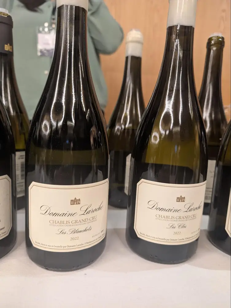 Tasting the 2022 vintage of Domaine Laroche’s Chablis Les Blanchots Grand Cru and Les Clos Grand Cru side by side. (Photo: Krystal Wen)