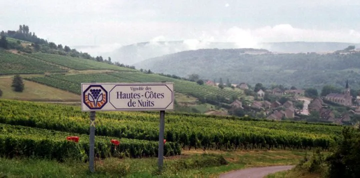 Haute-Côte de Nuits vineyards in Burgundy (Photo: Hans Andersen, Wikipedia)