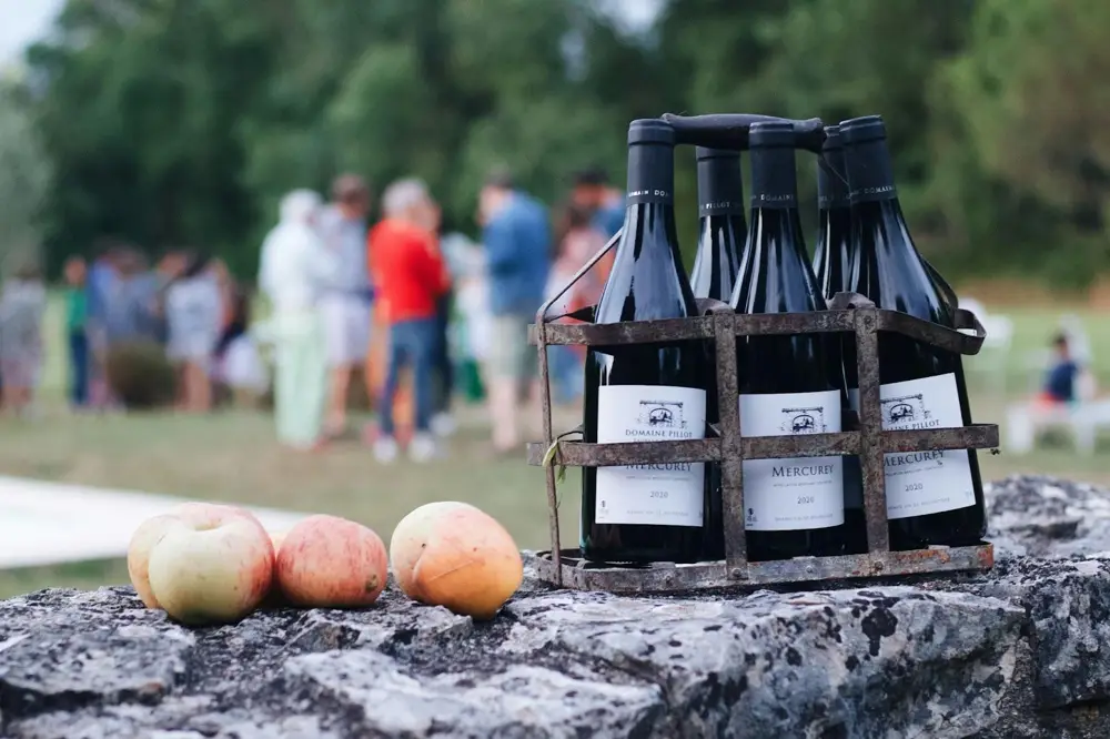  Mercurey is one of the underrated gems in Burgundy (Credit: Maël Balland, unsplash.com)