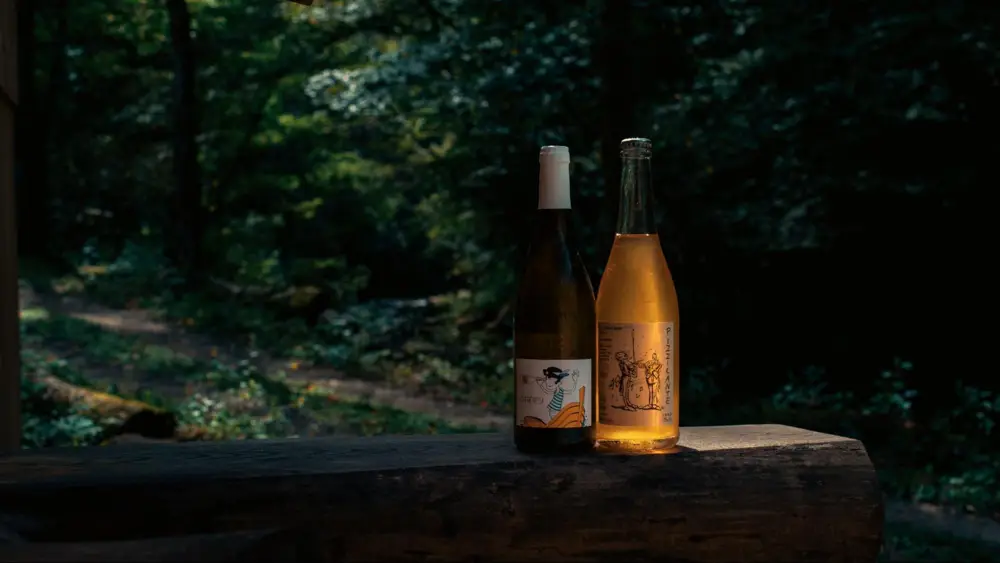 Bottles of natural wine (Photo: Ryosuke Nasu, Unsplash.com)