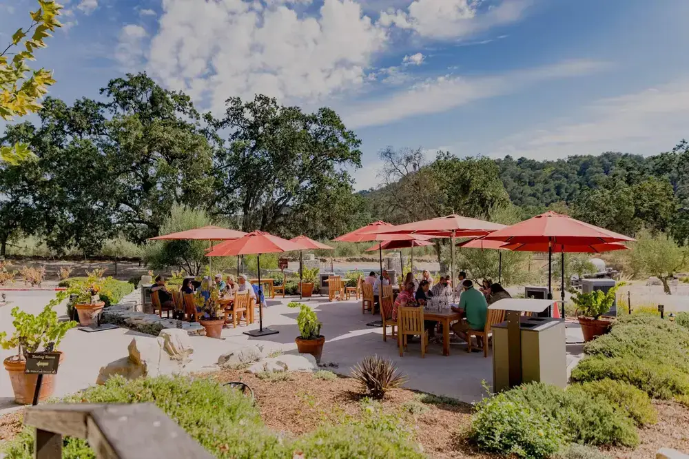 Wine tasting in Paso Robles (Photo: Tablas Creek)