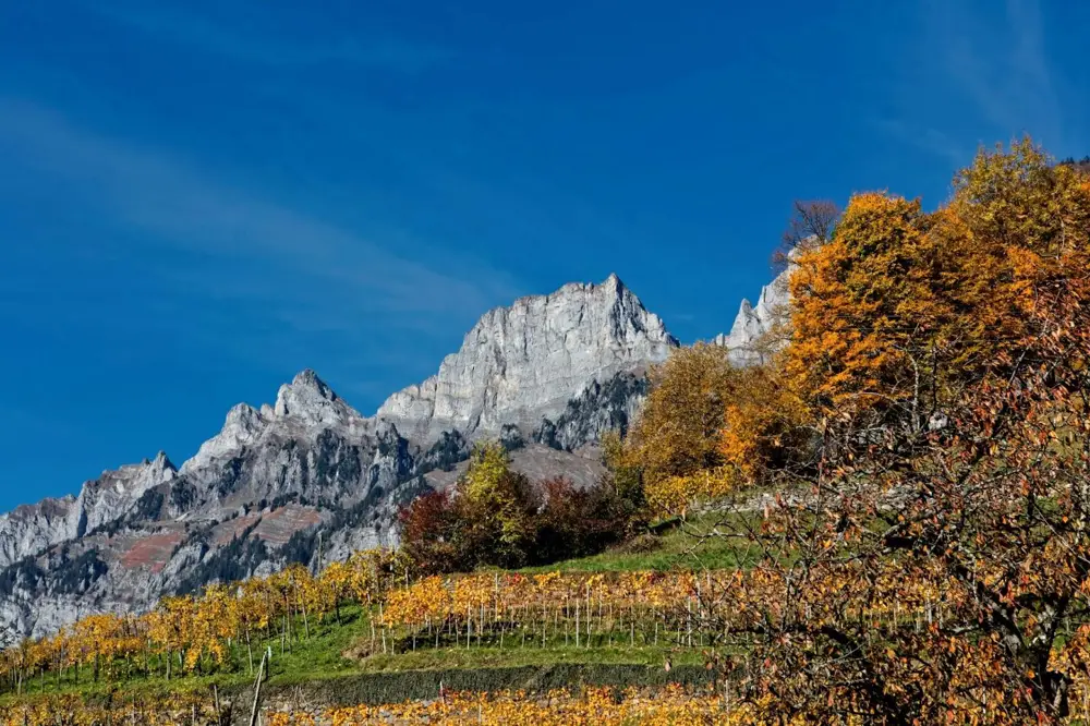 Famous Vineyards to Visit for Unforgettable Wine Experiences