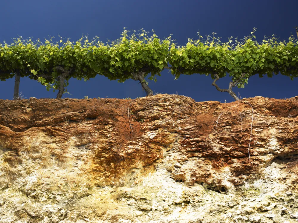 The unique terra rossa soil in Coonawarra (Credit: Coonawarra.org)