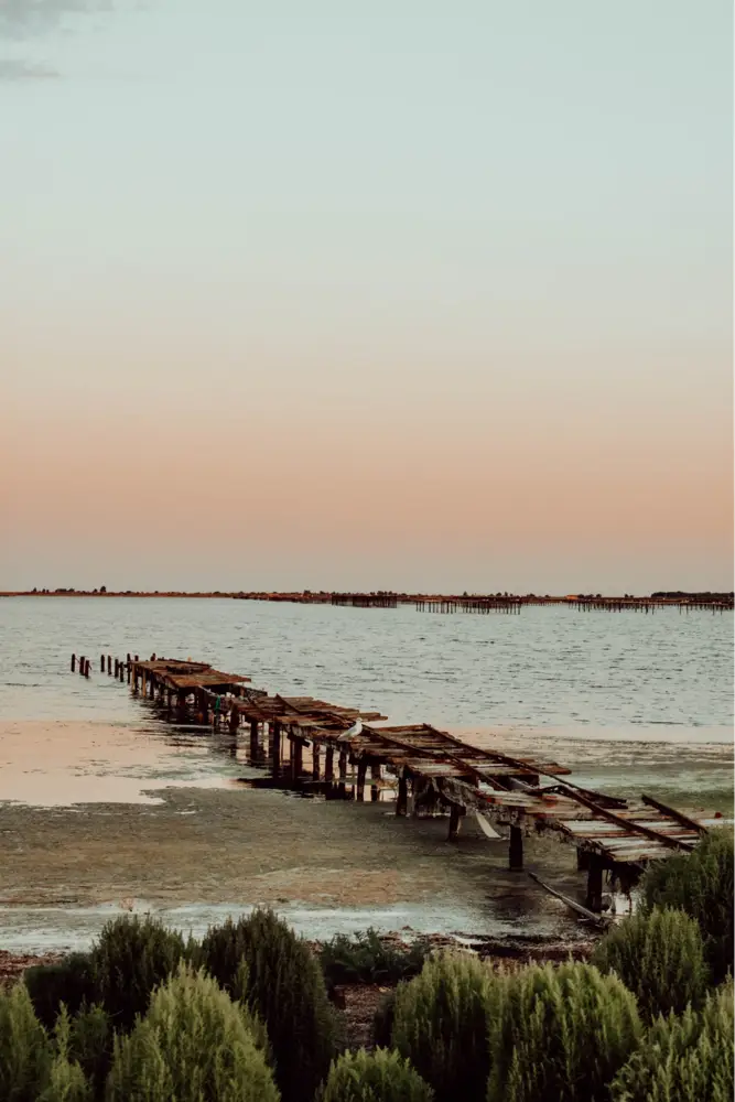 Étang de Thau, the salty lake bordering the Picpoul de Pinet vineyards (Photo by Maes Joséphine on Unsplash)