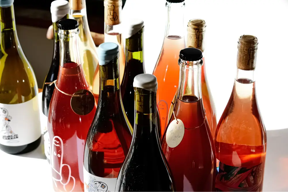 Chillable red wines are perfect for summer gatherings (Photo: Harper Sunday, Unsplash.com)