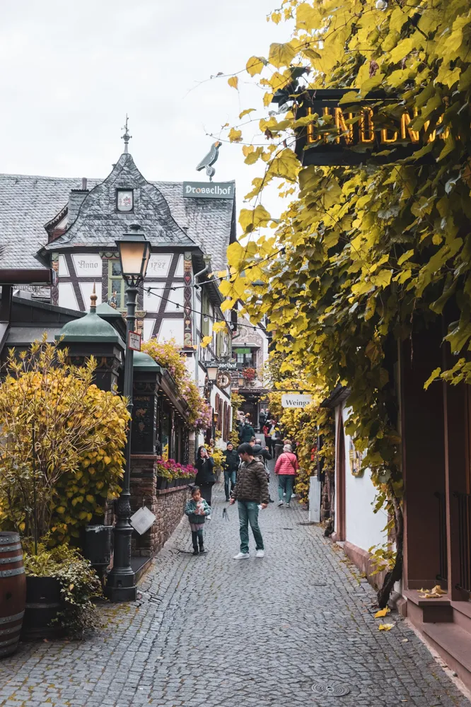 The town of Rudesheim in the Rheingau region (Joshua Kettle, Unsplash)