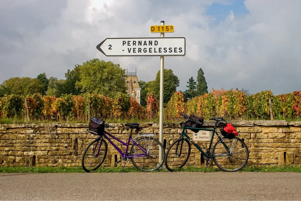 The wine trail “la Route des Grands Crus” in Burgundy (Photo: Ian Taylor, Unspash.com)