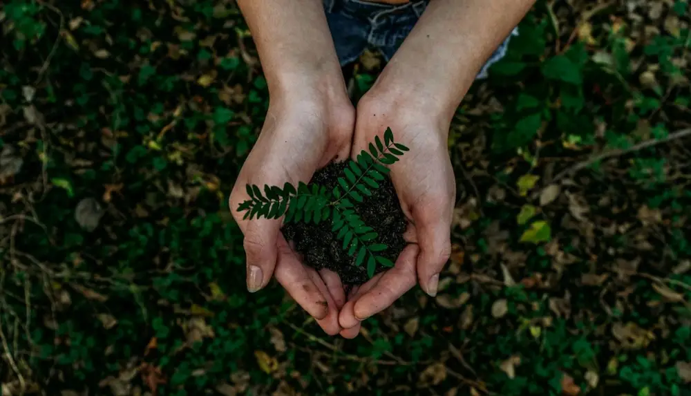 We all can contribute to a better future. (Photo: Noah Buscher, unsplash.com)