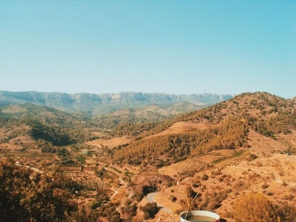 The rugged landscape of Priorat (Photo: Ben Steele, Unsplash)