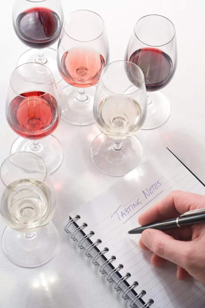 How to Write Tastings Notes as a Beginner | VinoVoss
