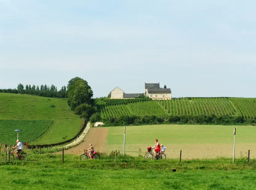 Apostelhoeve Vineyard near Maastricht in Limburg, the Netherlands (Photo: Linburgse Wijnen)