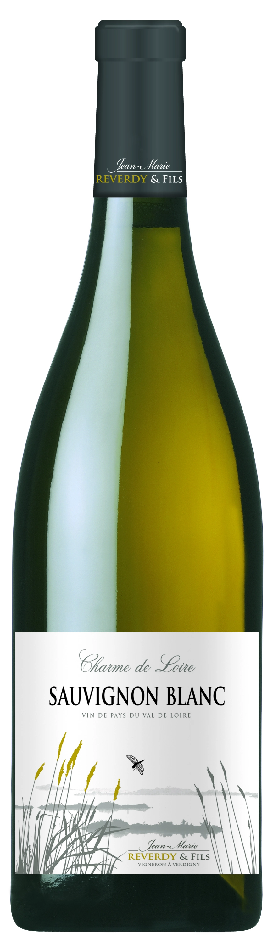 Domaine de la Villaudière Charme de Loire Sauvignon Blanc