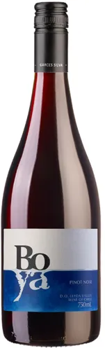 Bottle of Boya Pinot Noir from search results