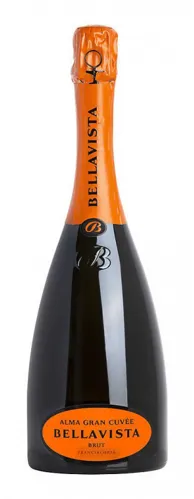 Bottle of Bellavista Alma Gran Cuvée Brut from search results