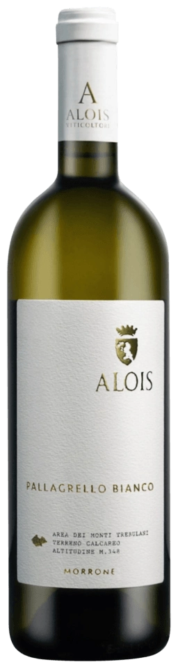 Alois Morrone Pallagrello Bianco