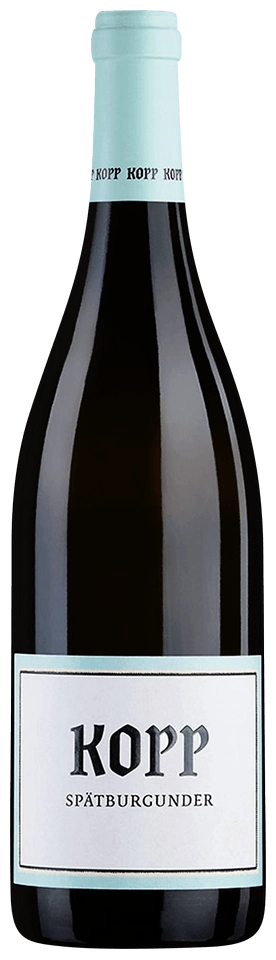 Kopp Spätburgunder