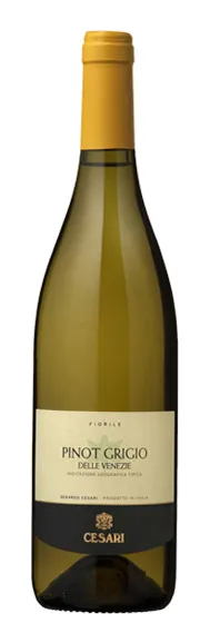 Bottle of Cesari Pinot Grigio delle Venezie from search results