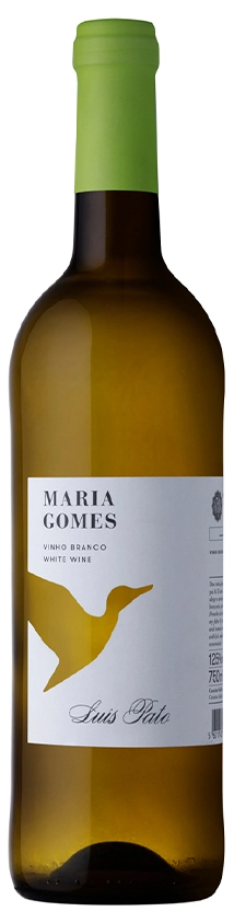 Luis Pato Maria Gomes Branco