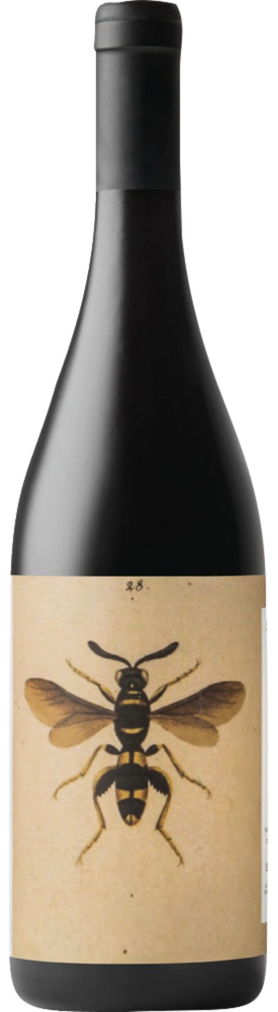 Noelia Ricci Il Sangiovese Sangiovese Predappio