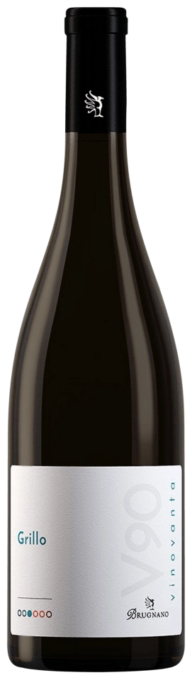 Brugnano V90 Grillo