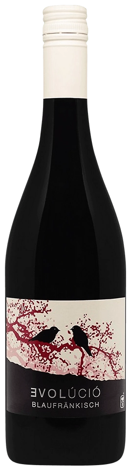 Evolúció Blaufränkisch