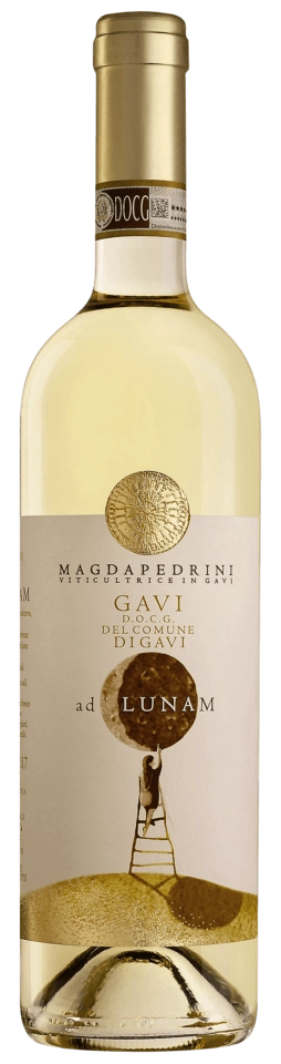 Magda Pedrini Gavi di Gavi ad Lunam