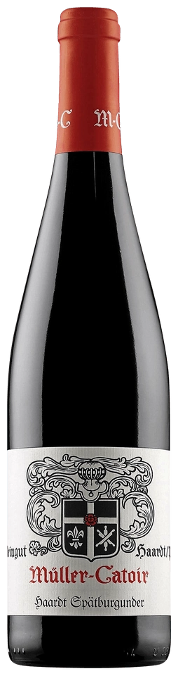 Müller-Catoir Haardt Spätburgunder