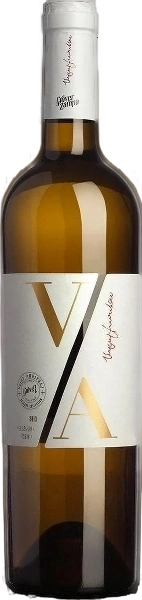 Grover Zampa Vijay Amritraj Reserve Collection White