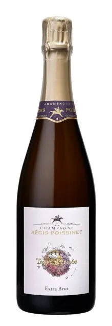 Bottle of Poissinet Terre d'Irizée Extra Brut Champagne from search results