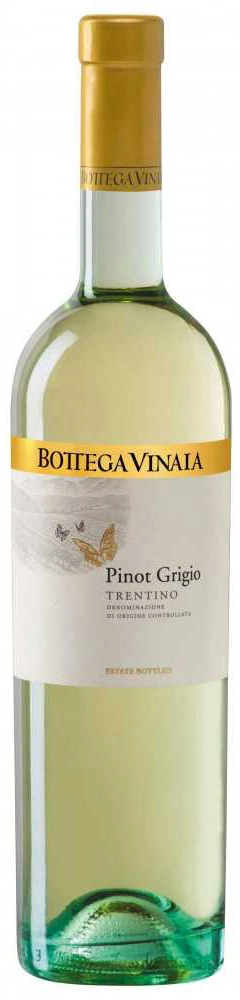Bottega Vinaia Pinot Grigio