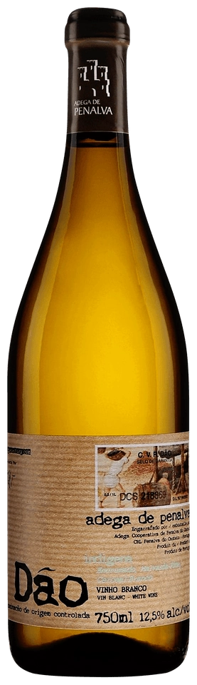 Adega de Penalva Indigena White Blend
