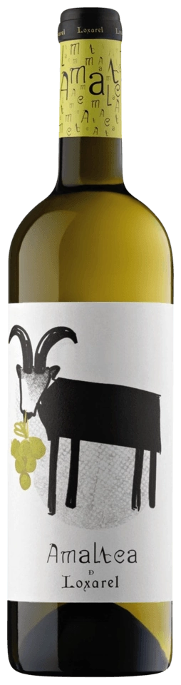 Loxarel Amaltea Blanco