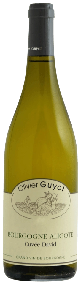 Olivier Guyot Cuvée David Bourgogne Aligoté