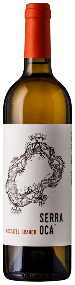 Quinta do Olival da Murta Serra Oca Moscatel Graúdo