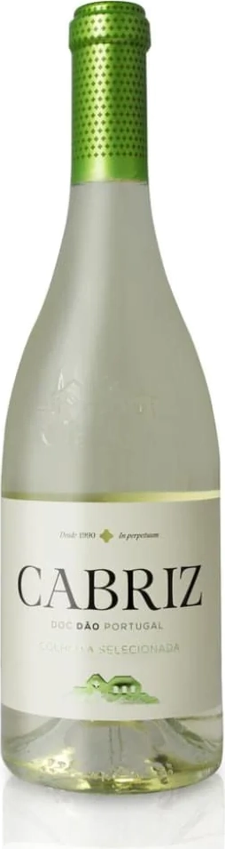 Cabriz Dão Colheita Seleccionada White