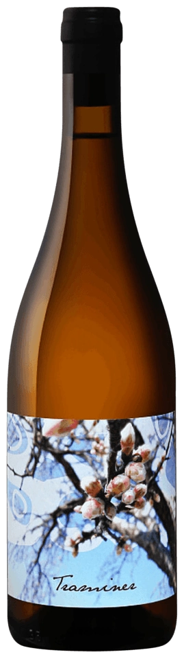 Judith Beck Traminer