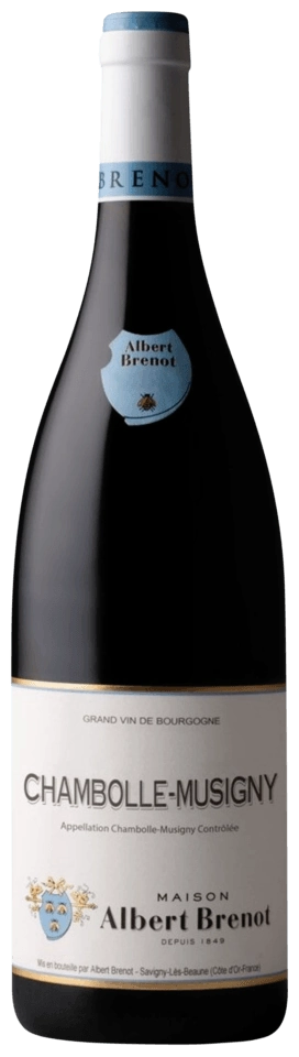Albert Brenot Chambolle-Musigny