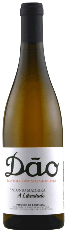 Antonio Madeira A Liberdade