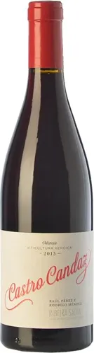 Bottle of Castro Candaz Menciawith label visible