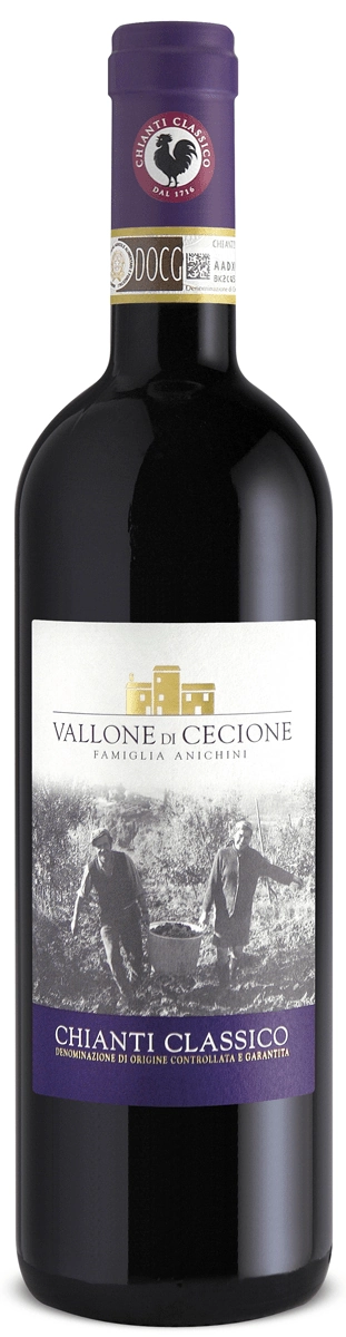 Vallone di Cecione Chianti Classico