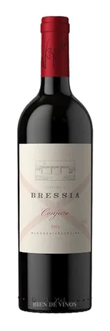 Bottle of Bressia Conjuro from search results