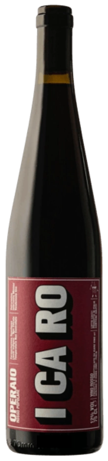 Icaro Operaio Rosso Popolare