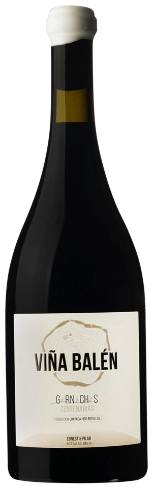 Bodegas Bal Minuta Viña Balén