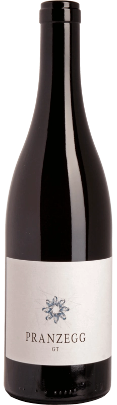 Pranzegg GT