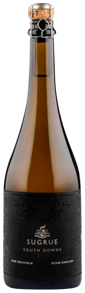 Sugrue The Trouble With Dreams South Downs