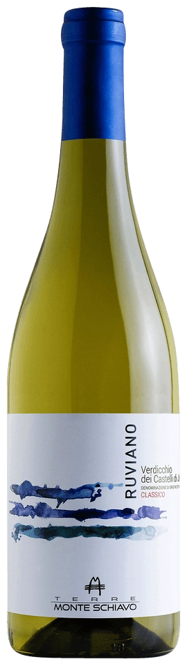 Terre Monte Schiavo Ruviano Verdicchio dei Castelli di Jesi Classico