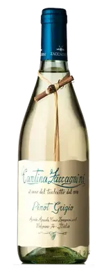 Bottle of Cantina Zaccagnini Pinot Grigio (Tralcetto) from search results