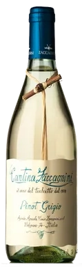 Cantina Zaccagnini Pinot Grigio (Tralcetto)