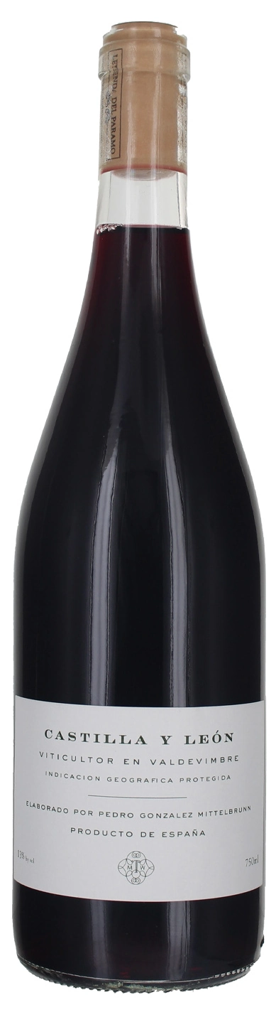 Mary Taylor Pedro Gonzalez Mittelbrunn Castilla y León