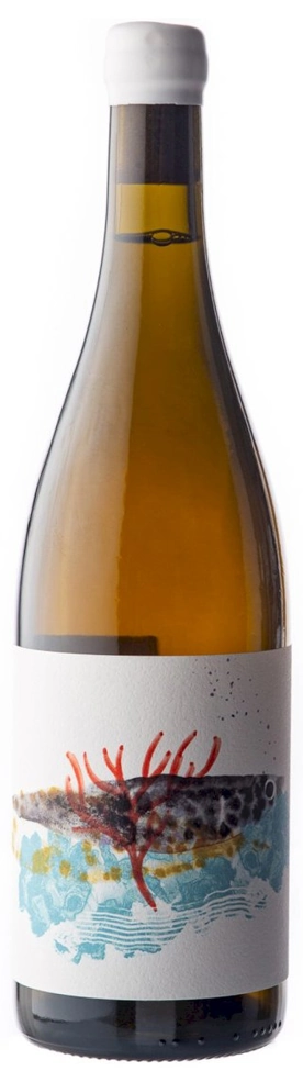 Integrale Ansonica Costa Toscana